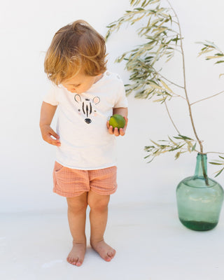 Zebra & Rose Clay Shorts Set