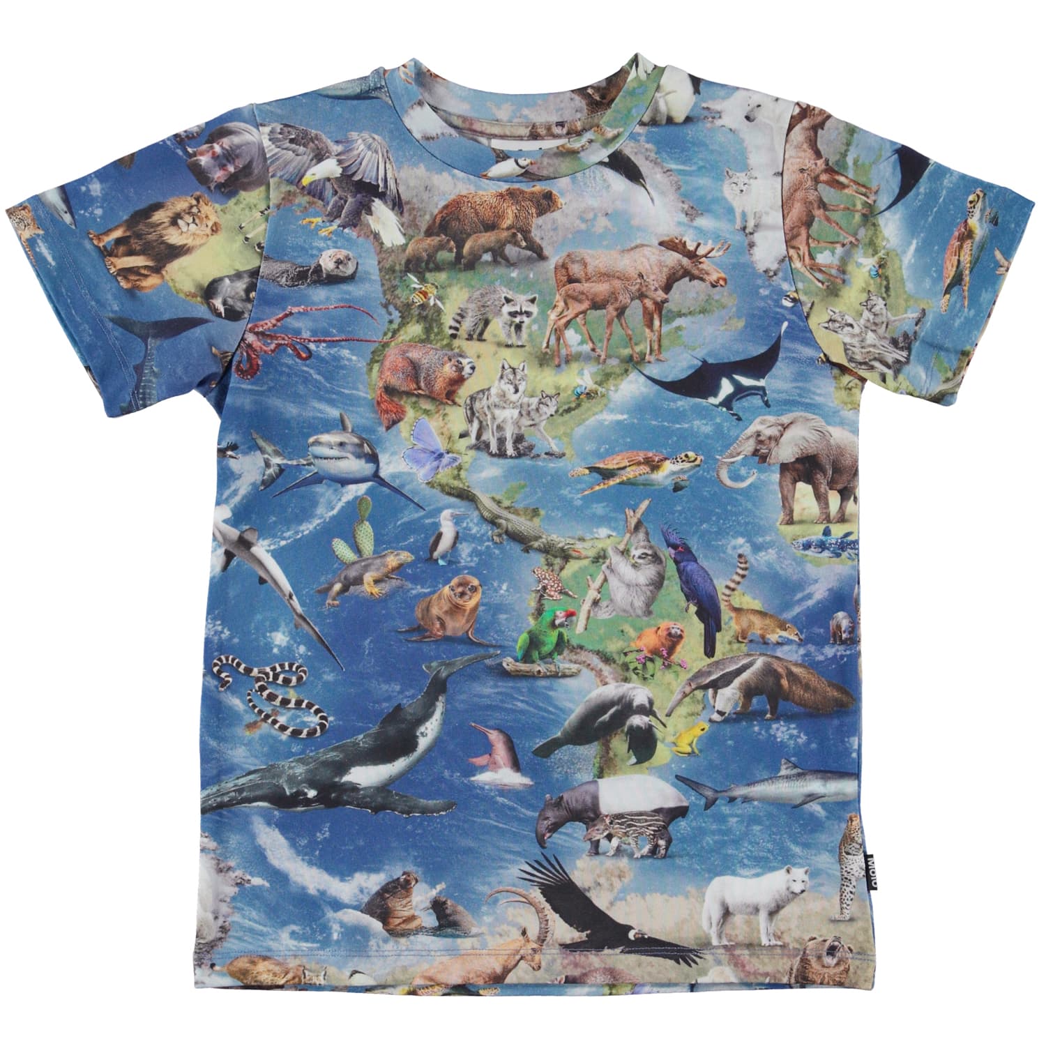 Ralphie T-shirt (Amazing Earth)